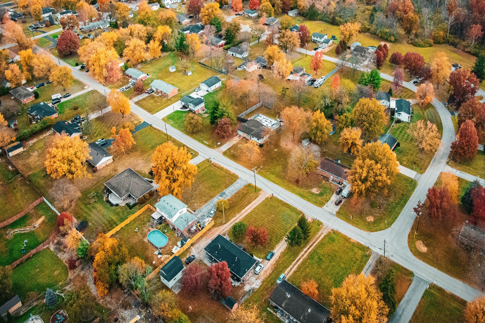 An Aerial Life in the Suburbs